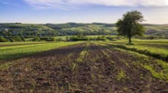 2,5 ha teren agricol la Celaru judetul Dolj