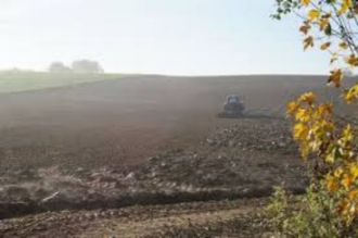 4,6 ha teren agricol la Pielesti judetul Dolj