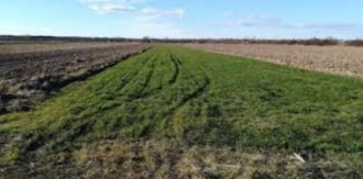 5 ha teren agricol la Plesoi judetul Dolj