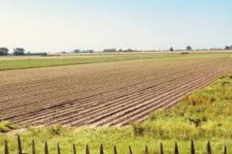 8,45 ha terenuri agricole la Dragotesti judetul Dolj