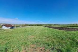9,90 ha teren agricol la Goiesti judetul Dolj