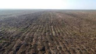 6 ha teren agricol la Radomiresti judetul Olt