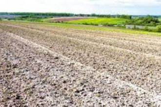 4 ha teren agricol la Melinesti judetul Dolj