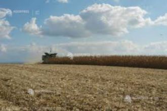 3,5 ha teren agricol la Vulpeni judetul Olt