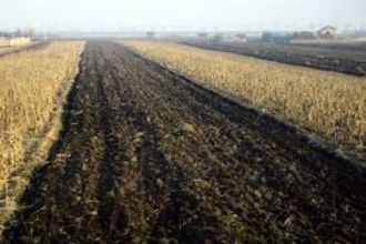 3,2 ha teren agricol la Oboga judetul Olt