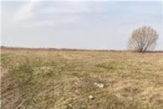 4,5 ha teren agricol la Goiesti judetul Dolj