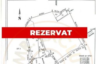 Teren Constructii intravilan de 7739 mp, in Mosoaia