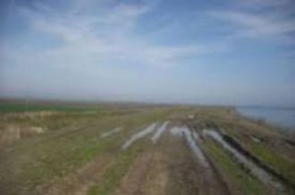 2 ha teren agricol la Cotofenii Din Fata judetul Dolj