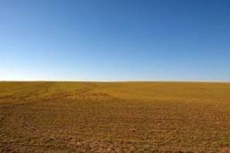 9,2 ha teren agricol la Poiana Mare judetul Dolj