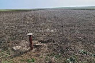 4,2 ha terenuri agricole la Dobrotesti judetul Dolj