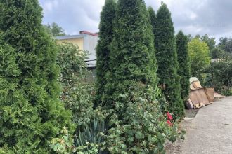 Casa P+M Elisabetin-Mures