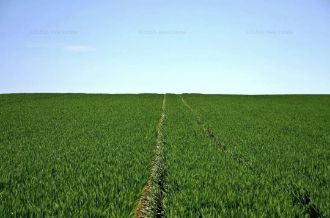 Teren agricol!