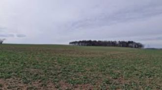 3,5 ha teren agricol la Ipotesti judetul Olt