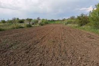 2 ha teren agricol la Simnicu de Sus judetul Dolj