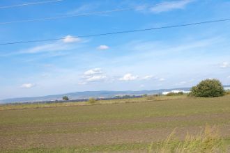 Teren agricol extravilan de 55000 mp, in Vladeni