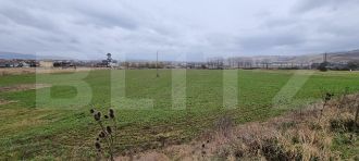 Teren Constructii intravilan de 4300 mp, in Cetate
