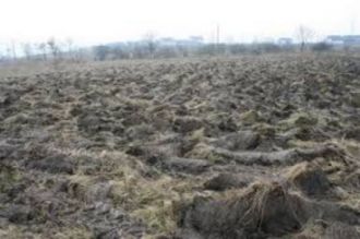 3 ha teren agricol la Bucovat judetul Dolj