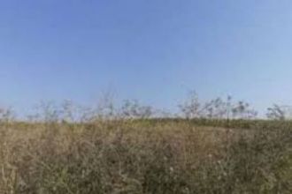 3,10 ha terenuri agricole la Milcov judetul Olt