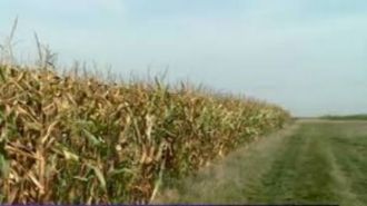 4,08 ha terenuri agricole la Celaru judetul Dolj