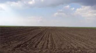 9 ha teren agricol la Oboga judetul Olt