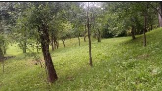 Teren Constructii intravilan de 3000 mp, in Sotrile