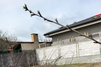 Teren Constructii intravilan de 200 mp, in Tomis Nord