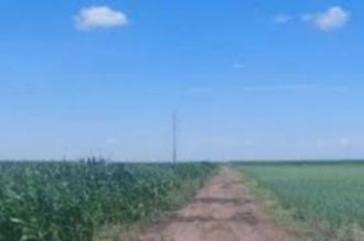 4,45 ha terenuri agricole la Coteana judetul Olt