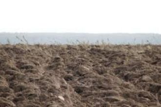 8 ha terenuri agricole la Dobrotesti judetul Dolj