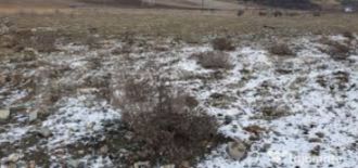 2 ha teren agricol la Izvoare judetul Dolj