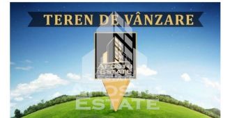 Teren Constructii intravilan de 17400 mp, in Bucovat (Remetea Mare)