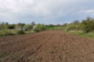9,2 ha teren agricol la Simnicu de Sus judetul Dolj