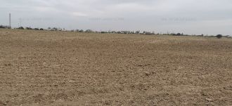 Teren intravilan lot 520 mp sos Giurgiu la 7 km de Bucuresti