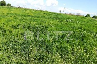 Teren 2,5 HA, cu front la sosea, pentru investitii in Sanandrei!