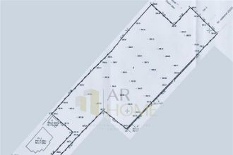 Teren Constructii intravilan de 3729 mp, in Paulesti