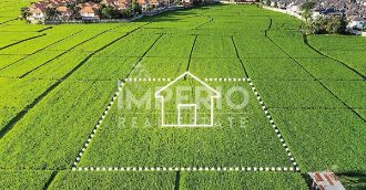 Teren Constructii intravilan de 4519 mp, in Buna Ziua