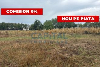 Teren Constructii intravilan de 6167 mp, in Albota