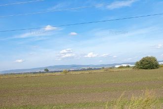 teren arabil, 5,50 ha, vladeni, jud ialomita, 9000 euro/ha