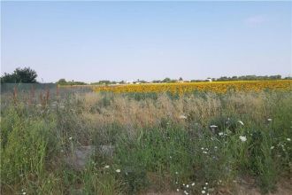 Teren Constructii intravilan de 10000 mp, in Metalurgiei