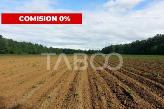 Teren intravilan arabil 57.800mp utilitati acces tir Pianu de Jos Alba