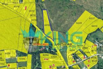 Aroneanu | Suprafata 5100 mp | Deschidere 100ml |
