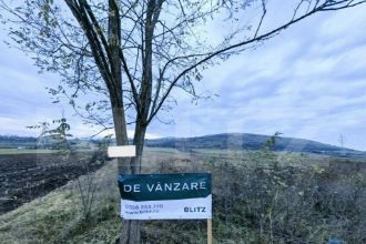 Teren Constructii intravilan de 2800 mp, in Barabant