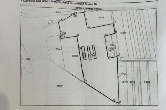 Teren Constructii intravilan de 60000 mp, in Mihai Bravu