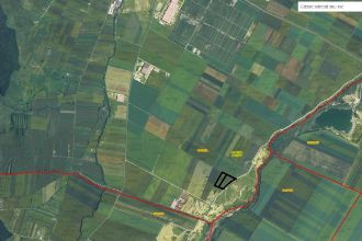 Teren agricol extravilan de 30000 mp, in Codlea