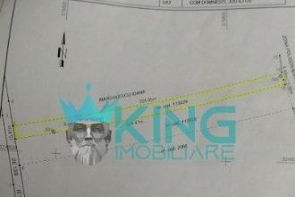Teren Constructii intravilan de 5000 mp, in Domnesti