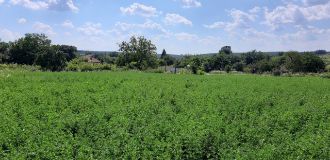 Teren intravilan -cca. 870 mp, deschidere 18 m, aproape de Slatina, Olt