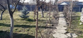Casa individuala cu 4 camere in Bogdanestilor