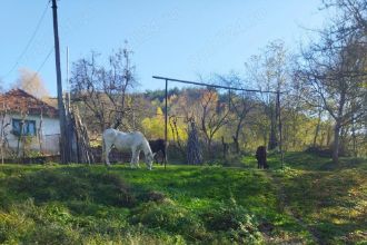 Casa.de.vinzare.la.tara
