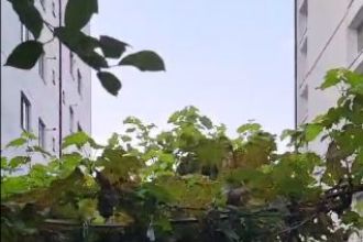 Casa generoasa langa un liceu bine cunoscut 