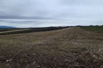 2 hectare de teren agricol situate in comuna Studina din judetul Olt