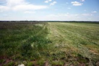 1,5 hectare de teren agricol situat in comuna Vladila din judetul Olt